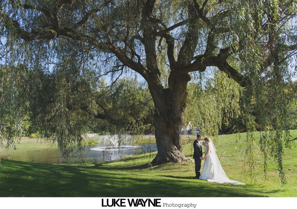 Bride and groom stand under a large willow tree on a sunny day.