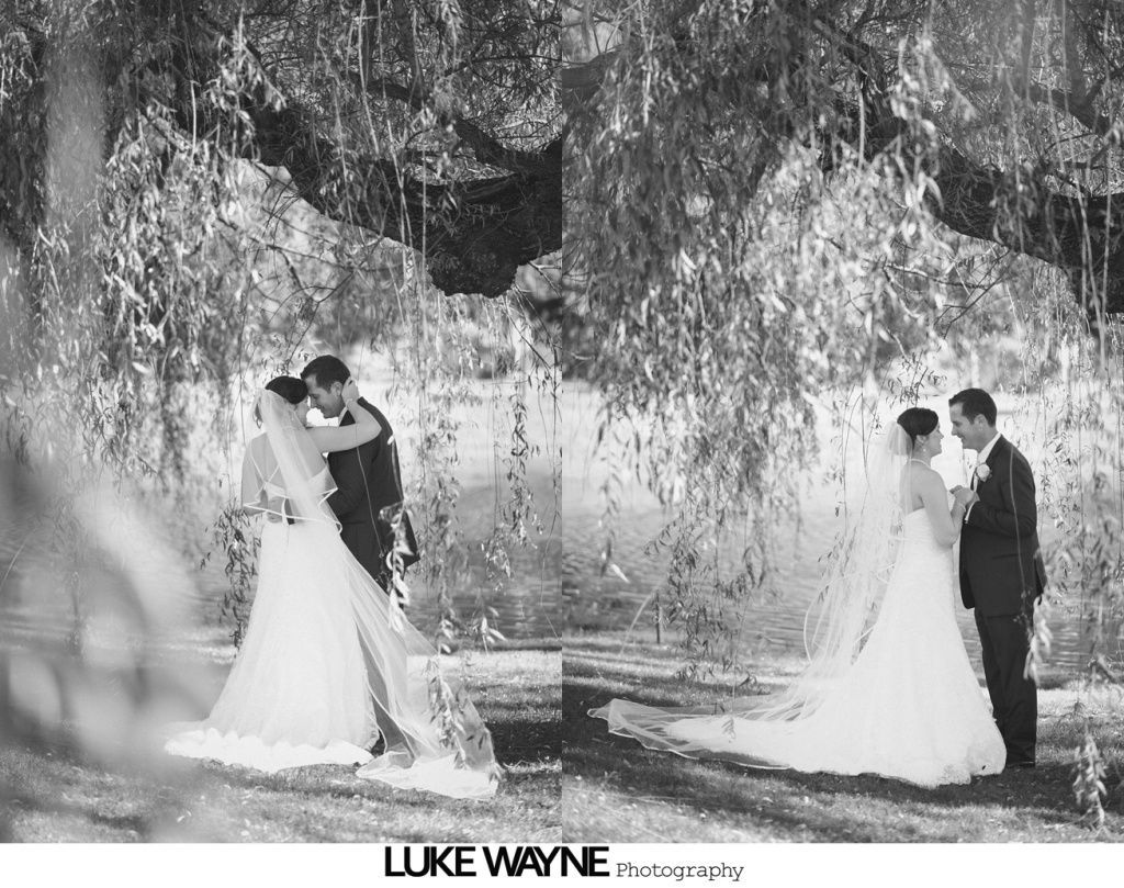 Bride and groom kissing under a willow tree at their wedding. Black and white.
