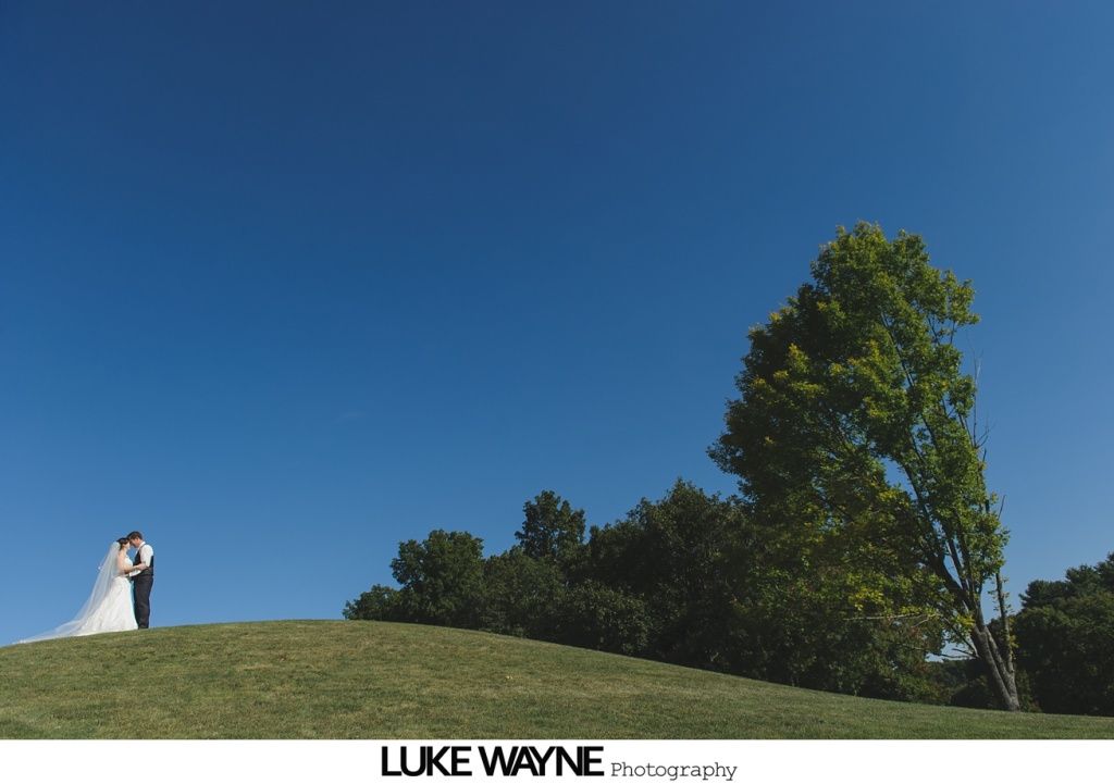 Bride and groom stand on a green hill, embracing, with a large tree under a blue sky.