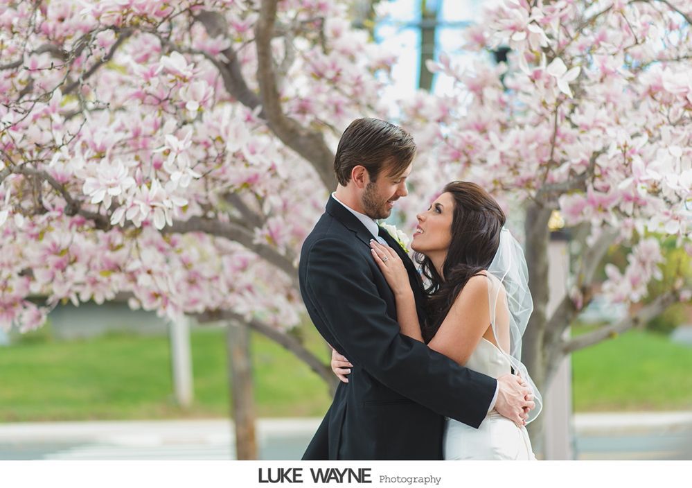 Bride and groom embrace beneath a flowering tree; soft pink blooms, park setting.