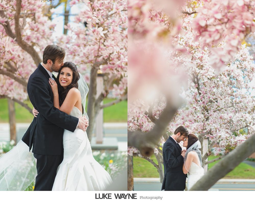 Bride and groom embrace beneath pink flowering tree. Groom kisses bride's head, smiling. Wedding attire, outdoor setting.