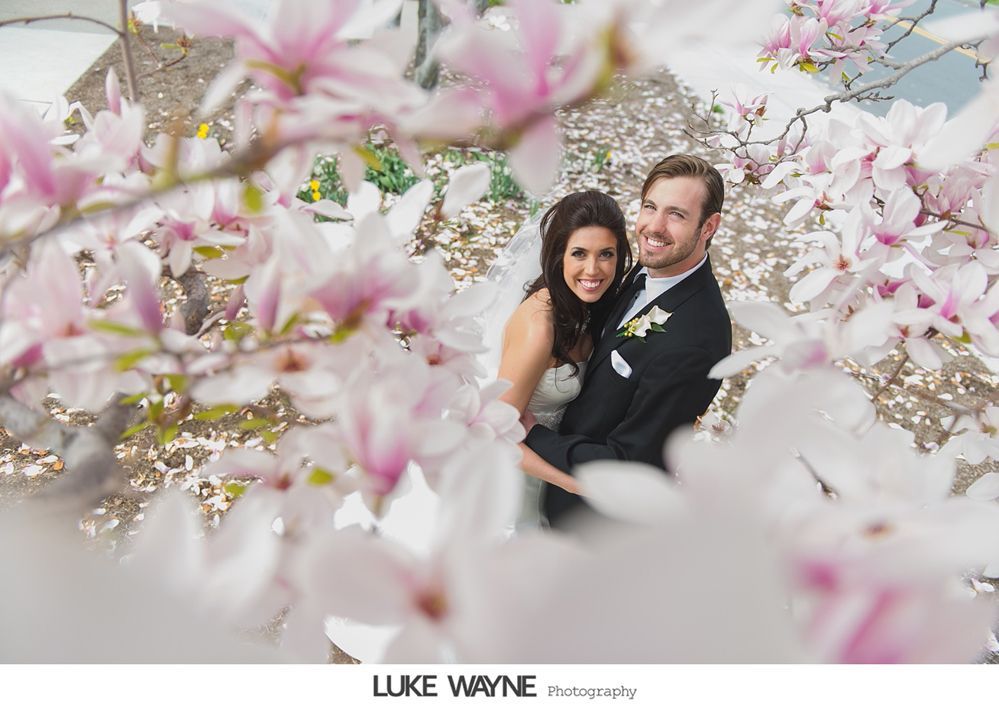 Couple in wedding attire surrounded by pink magnolia blossoms; smiling, embracing outdoors.
