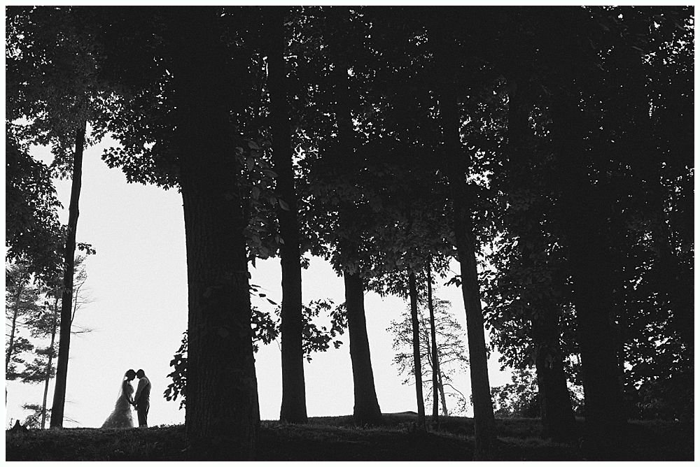 Silhouetted couple in wedding attire stand beneath tall trees.
