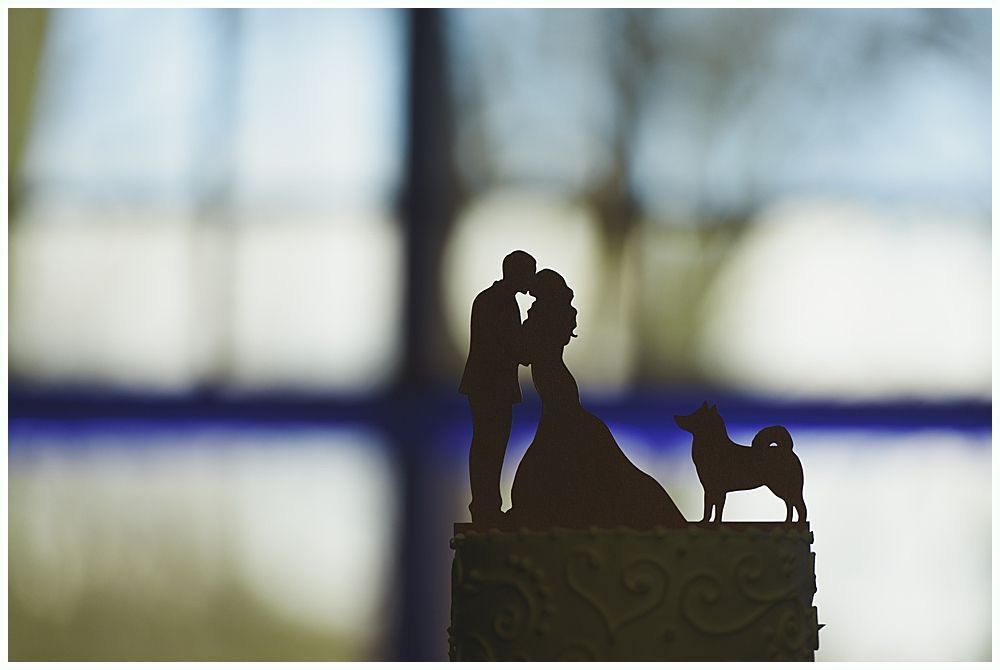 Silhouette of a kissing couple with a dog atop a decorative cake, against a blurred blue and white window.