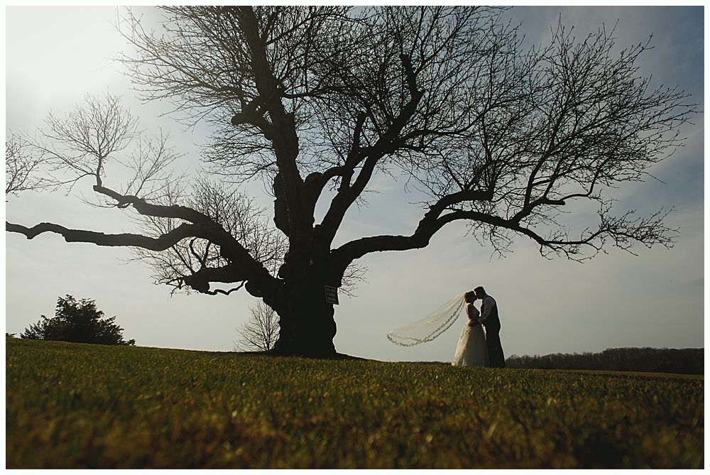Couple kissing under a large tree with bare branches on a grassy hill; silhouette.