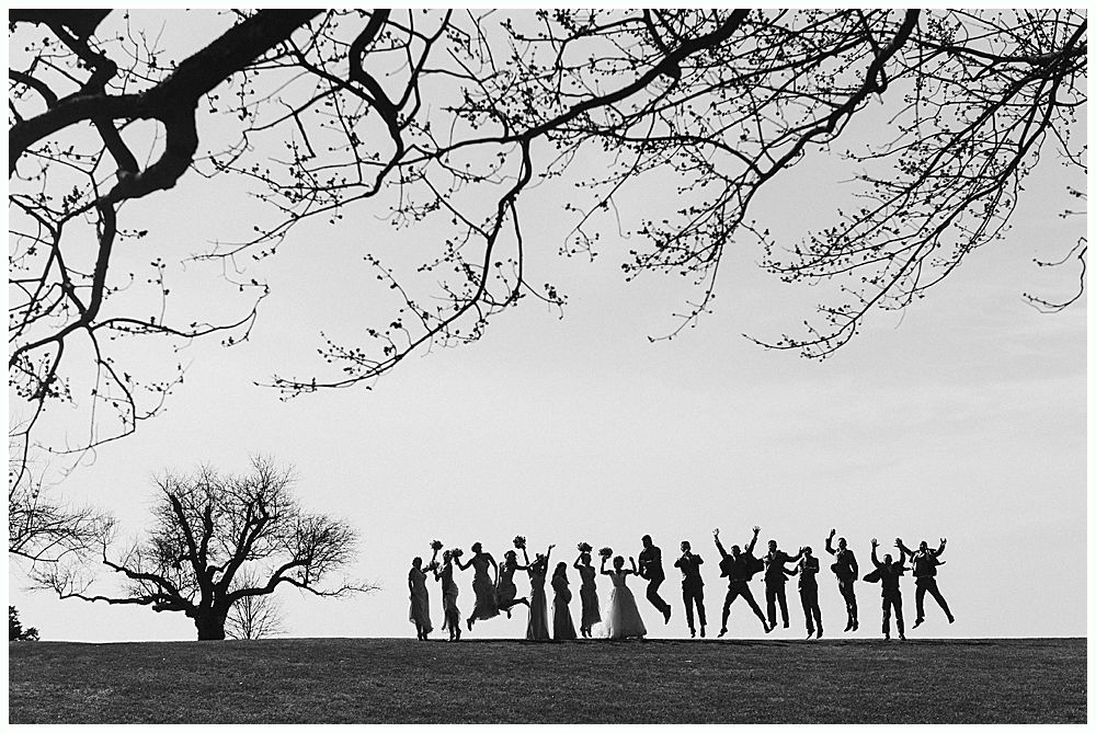 Silhouetted group of people jumping joyfully on a hill under a tree and branches against a bright sky.