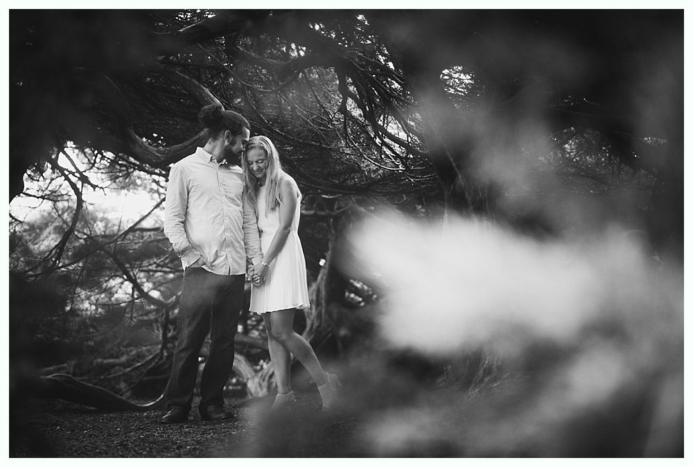 Couple embraces under a tree with intertwined branches, soft focus around them.