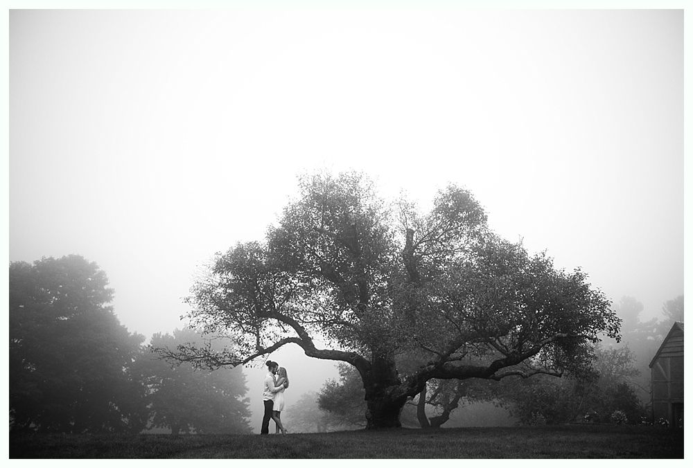 Couple embracing under a large tree in a foggy outdoor setting.