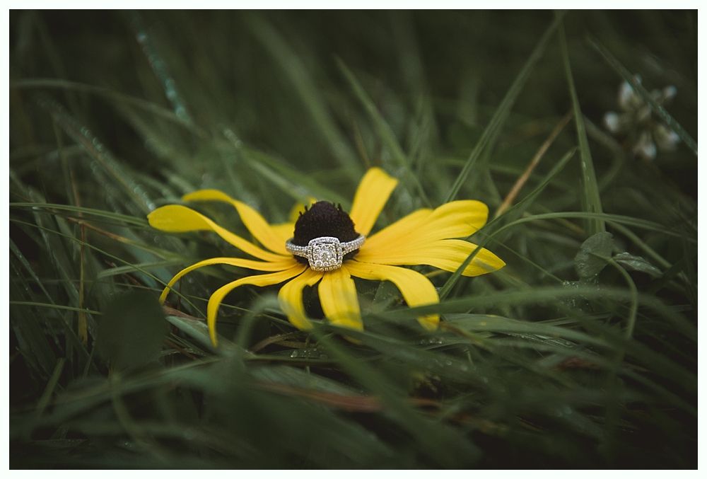 Diamond engagement ring on yellow flower in tall grass.
