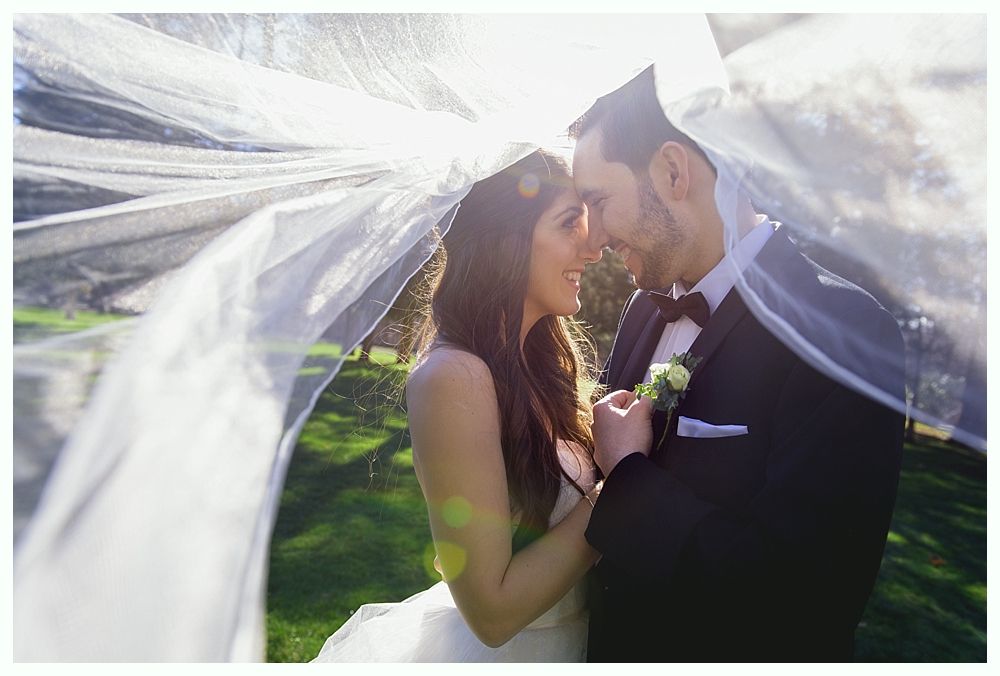 Bride and groom under sheer veil, smiling, outdoors. Groom in tuxedo, bride in white gown. Sunlight.