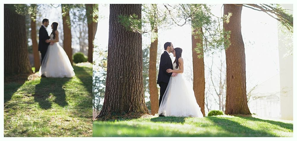 A couple in wedding attire embrace under tall trees. Groom kisses bride's forehead on a sunny, grassy hillside.