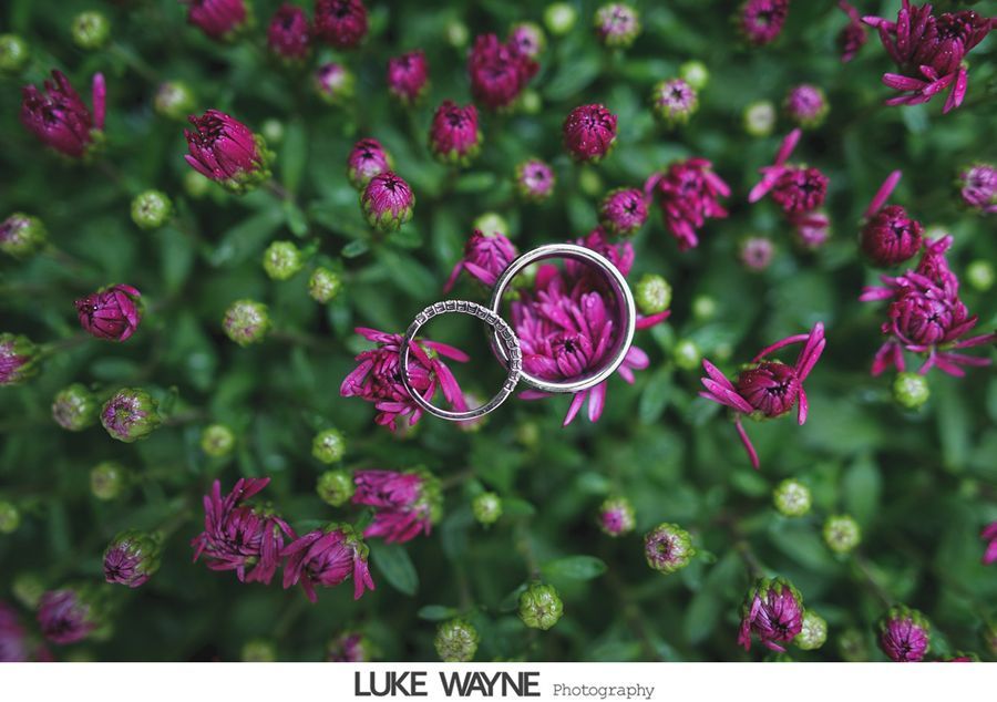Two silver wedding rings nestled in vibrant purple flowers.