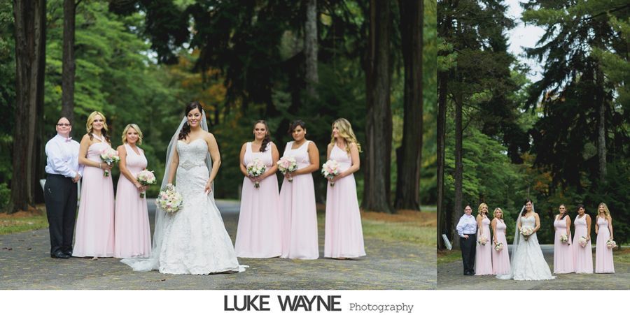 Wedding party posing on a path among tall trees; bride in a white gown; bridesmaids in pink.