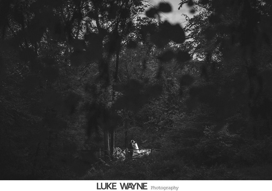 Couple in wedding attire stands in a sunlit clearing in a dark forest.