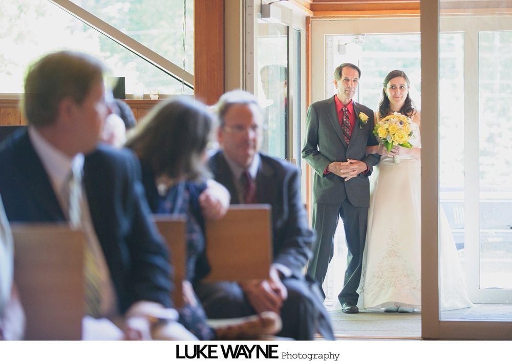 Wedding party posing on a rural road; bride and bridesmaids in pastel dresses, groomsmen in gray suits.