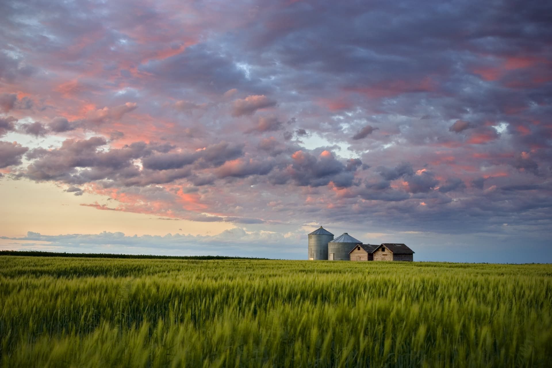 There is a barn in the middle of a field with a cloudy sky in the background.
