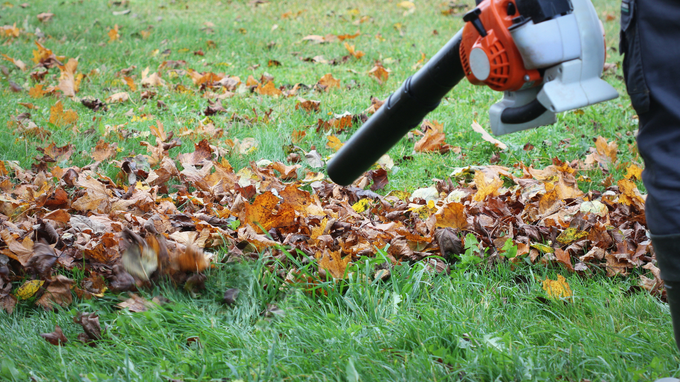 Person using a leaf blower to clear fallen autumn leaves from grass