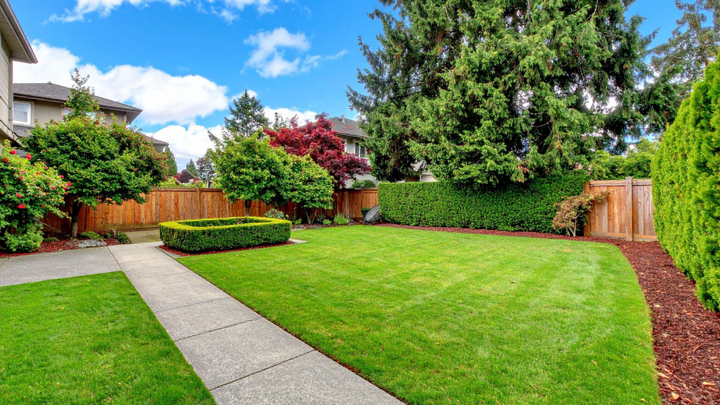 Bright backyard lawn with a concrete path, wooden fence, and tall green trees under a blue sky