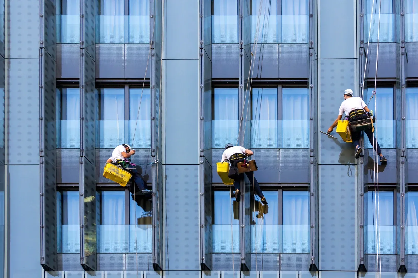 Window cleaners hanging from a modern building, cleaning the windows with yellow buckets.