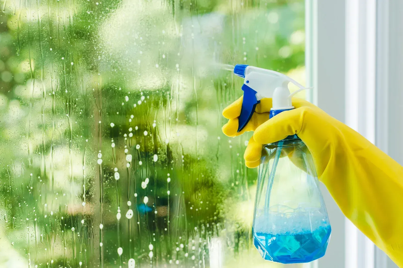 Person wearing yellow gloves sprays window with blue cleaning solution.