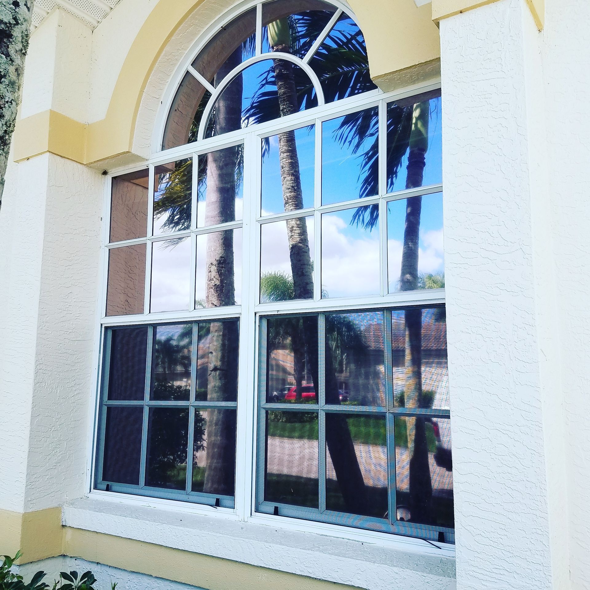 White arched window with decorative panes reflecting palm trees and sky on a stucco wall
