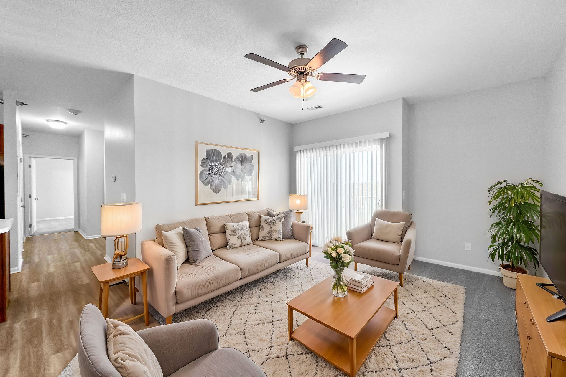 cat and person on laptop