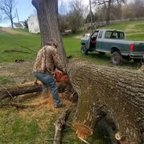 A man is cutting a tree with a chainsaw in front of a truck.