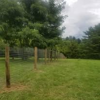 A fence surrounds a grassy field with trees in the background.