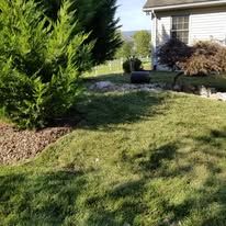 A lush green lawn in front of a house with trees and bushes.
