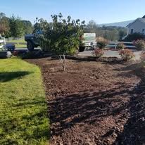 A before and after picture of a lawn with a truck parked in the background.