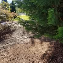 A dirt path surrounded by trees in a park.
