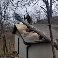 A man is cutting a tree branch on the roof of a house.