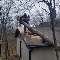 A man is cutting a tree branch on the roof of a house.