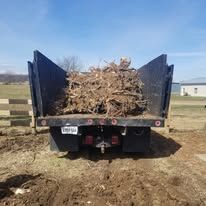 A dump truck is filled with a pile of wood.