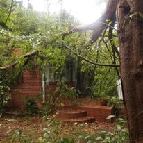 A house with a fallen tree in front of it.