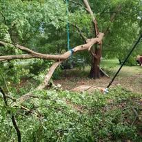 A tree branch is hanging from a rope in the middle of a forest.