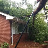 A tree has fallen on top of a brick house.