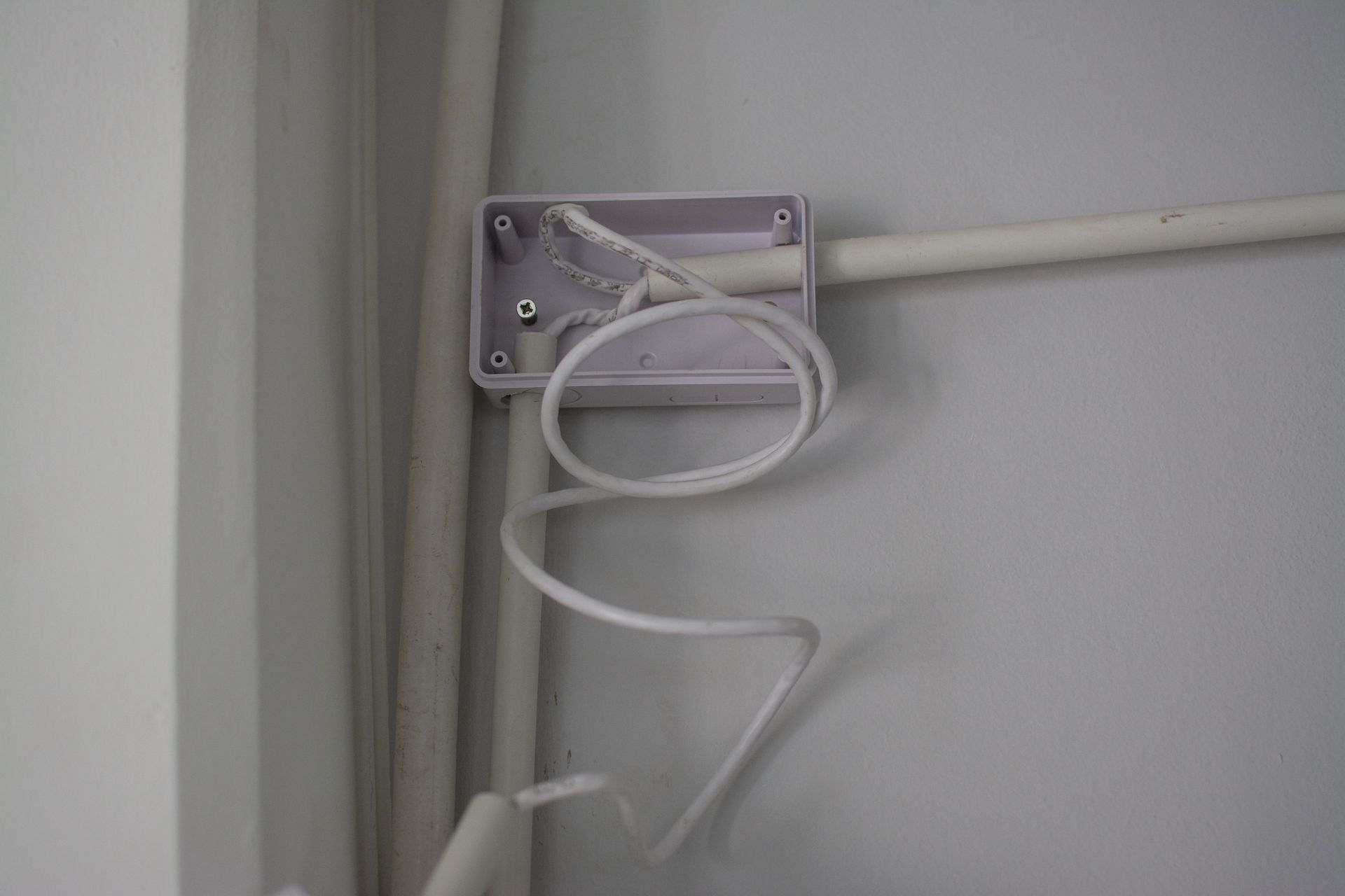 White electrical box on a gray wall, wires connected and coiled. White conduit runs to the right.