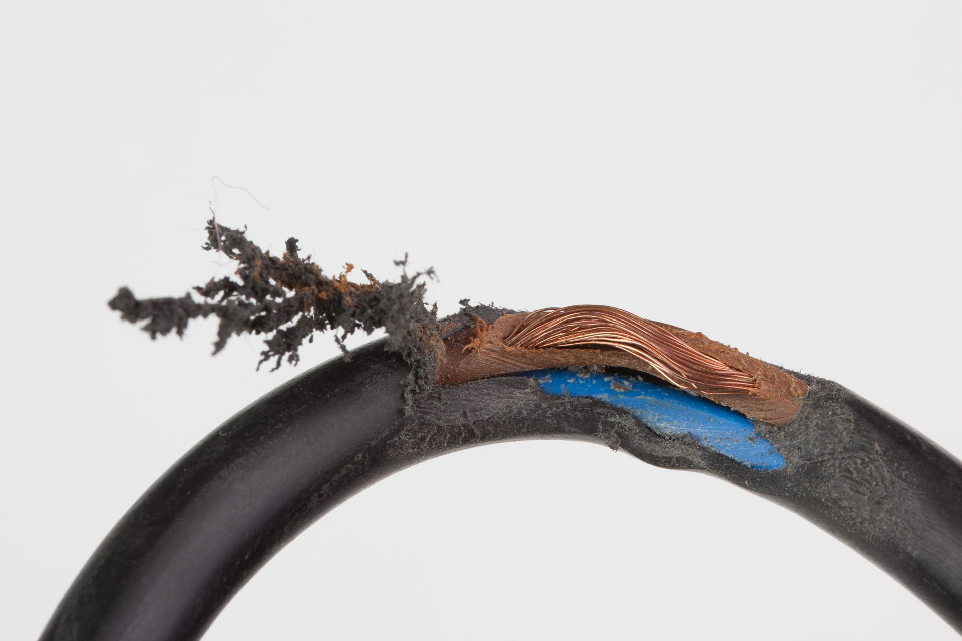 Damaged electrical cable, black, with exposed copper wires and blue insulation against white background.