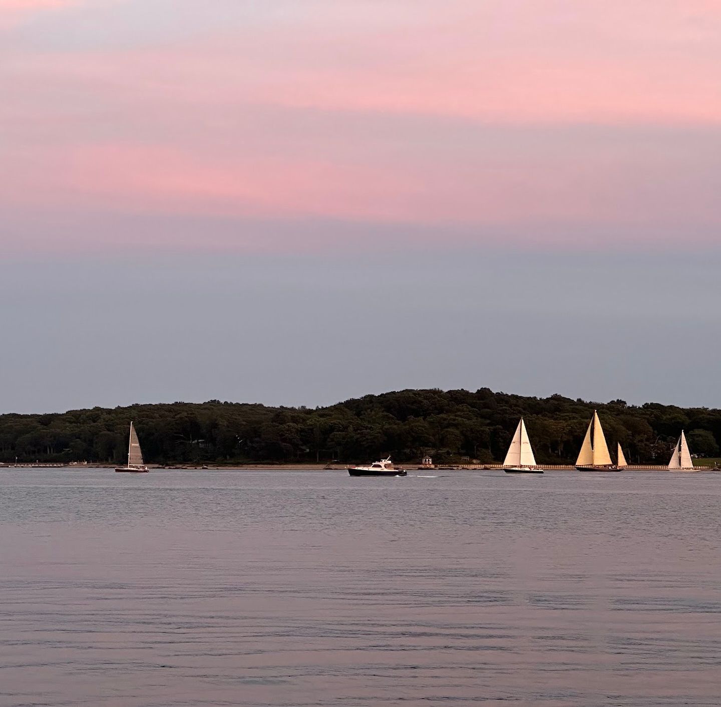 Sailboats on water, silhouetted against a pink and gray sunset sky, with a treeline in the background.