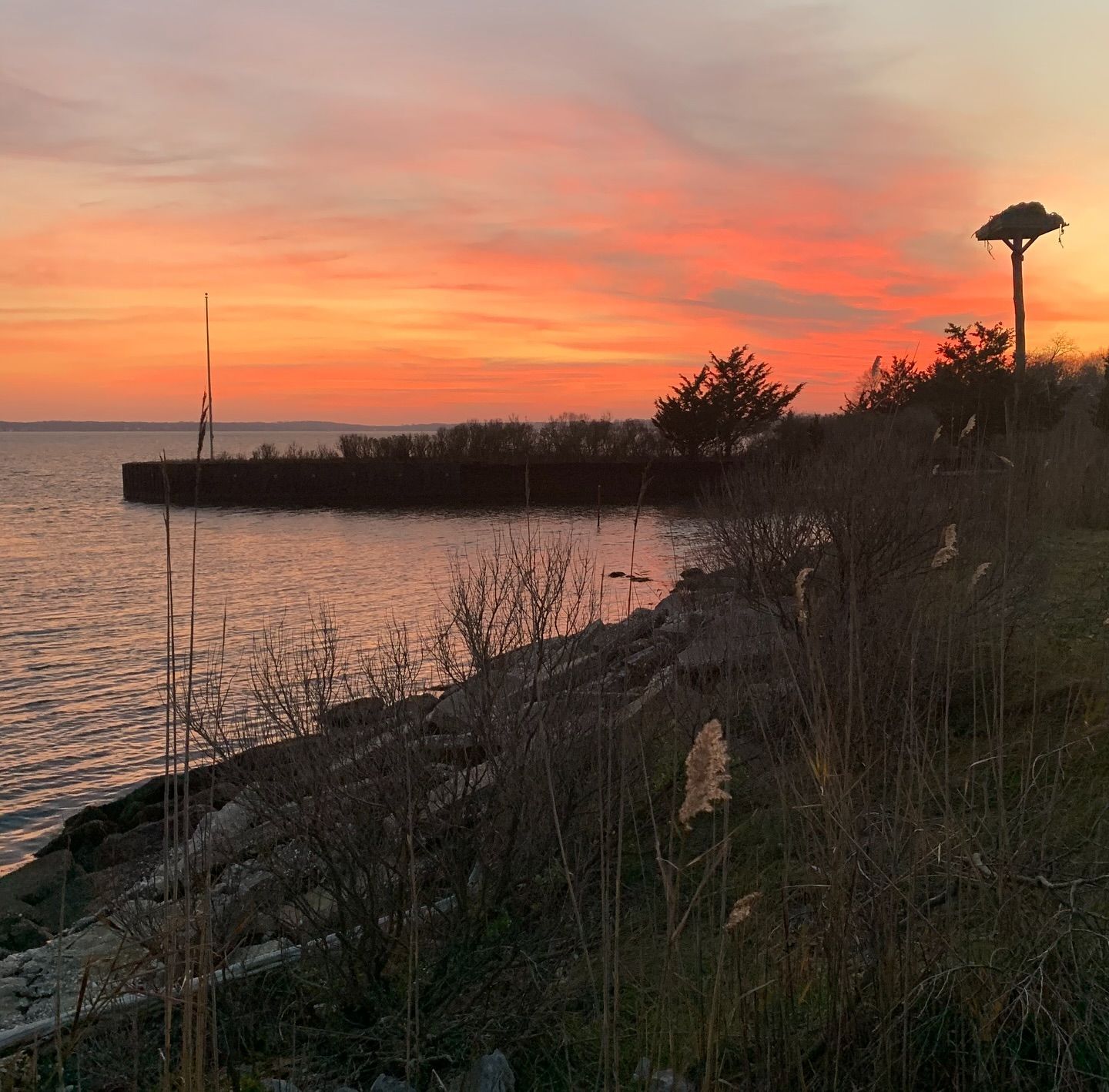Sunset over water with fiery orange and pink sky, silhouetted trees and shoreline.