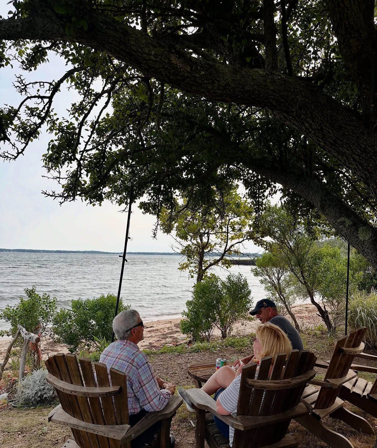 People sitting in wooden chairs, shaded by a tree, overlooking a beach and water.