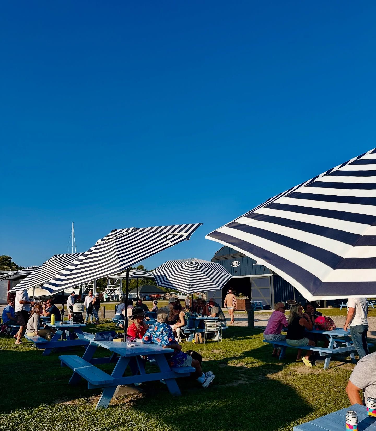 People sitting at blue picnic tables under striped umbrellas on a grassy lawn. Bright blue sky.