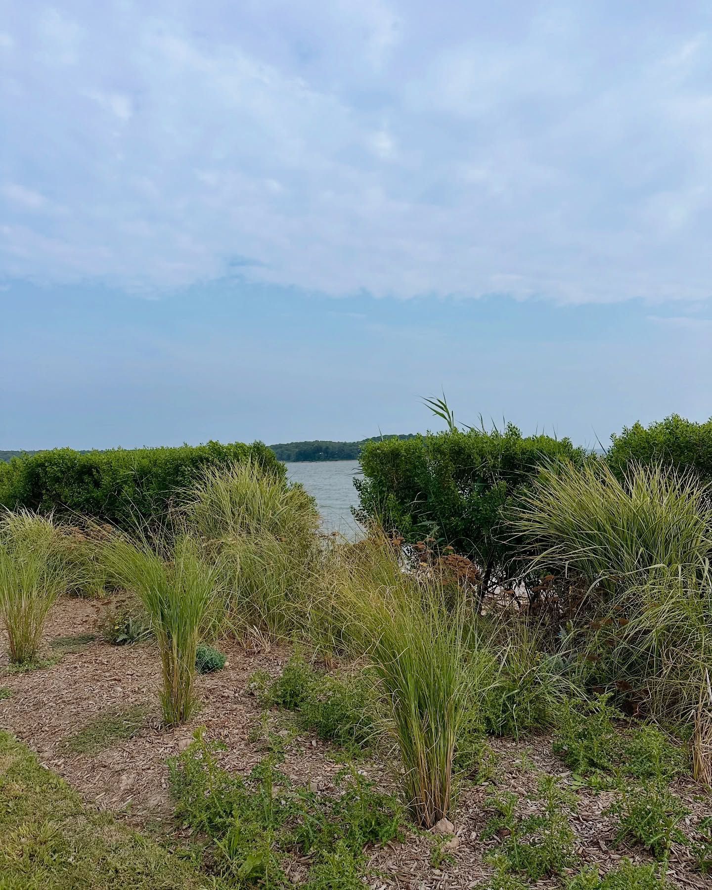 View of a lake through greenery under a cloudy sky.