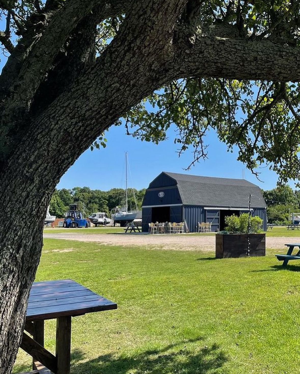 Blue barn and picnic table under a tree on a sunny day, near boats.