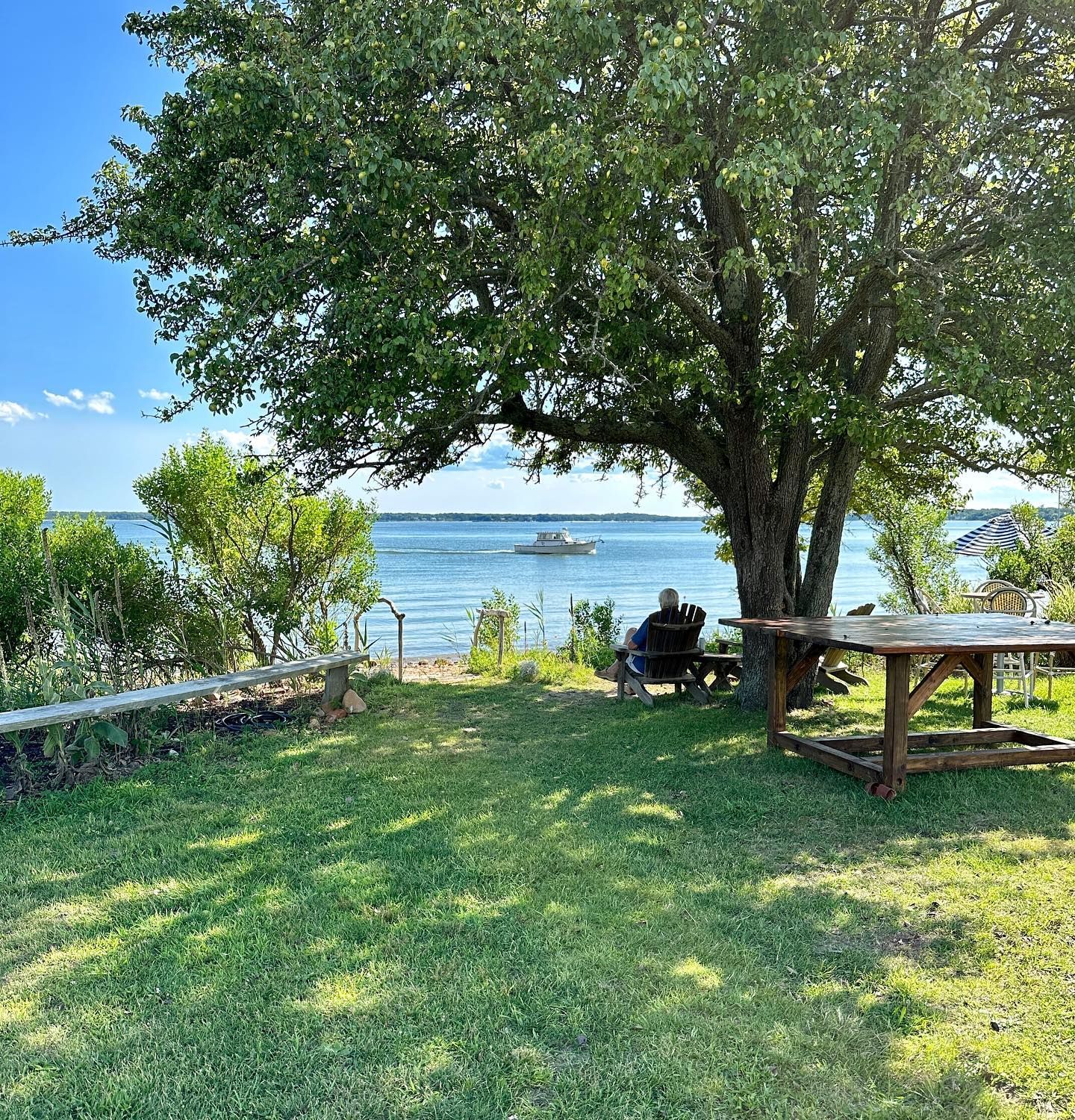 Grassy yard with a tree shading a picnic table and benches overlooking a body of water.