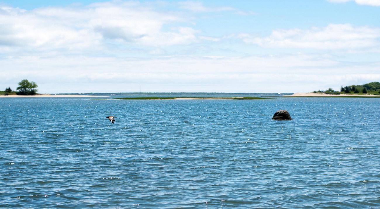 Blue ocean under a cloudy sky, with a small island on each side, and a bird and rock in the water.