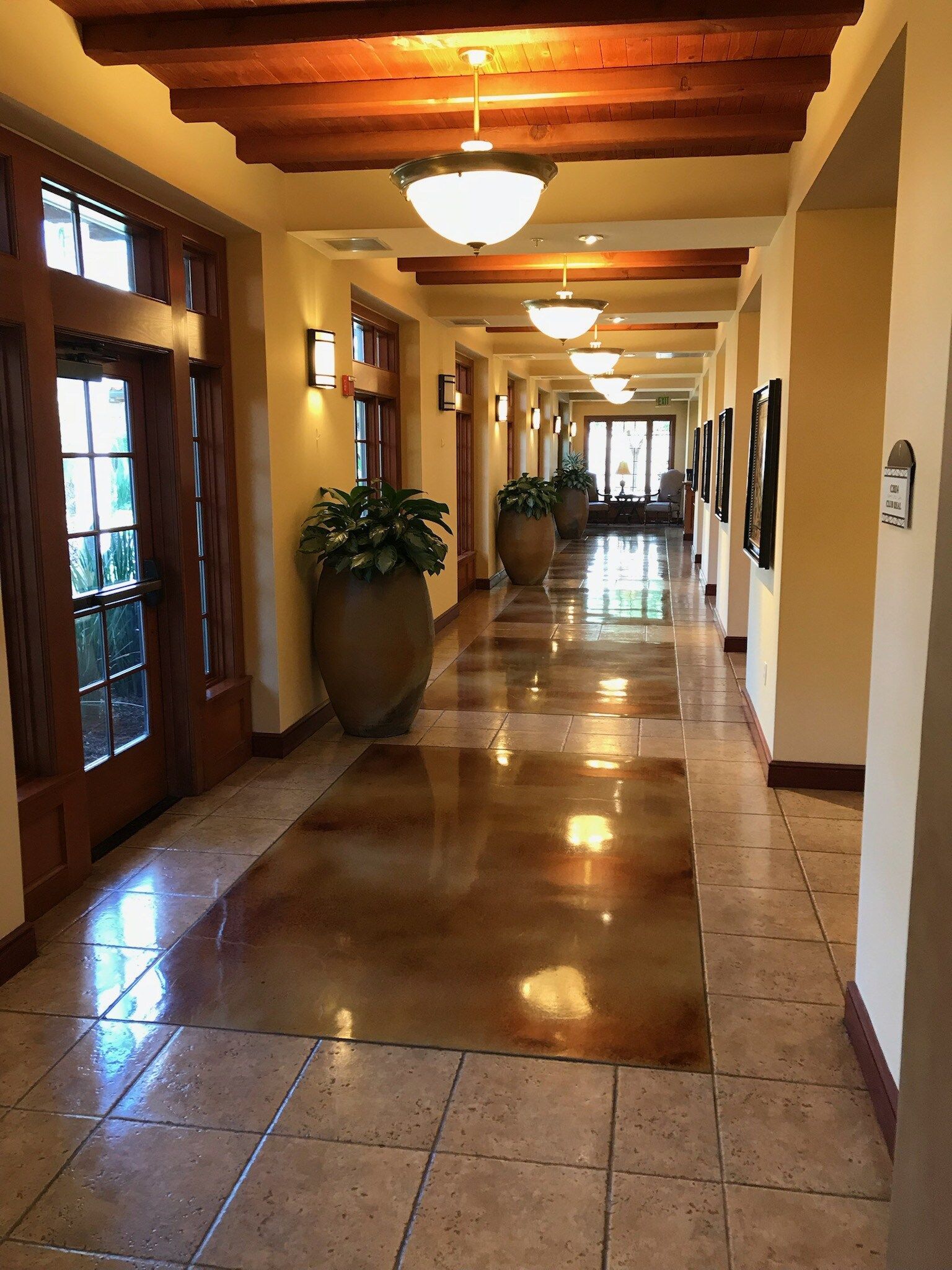 A long hallway with potted plants on the floor