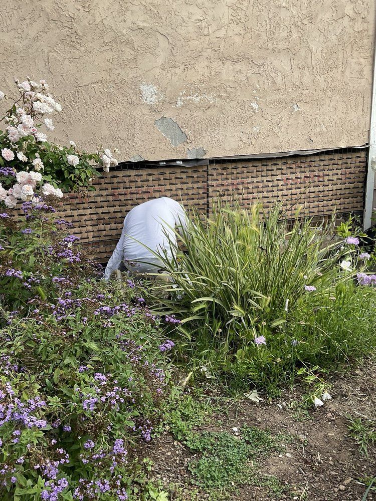 A man is kneeling down in a garden next to a brick wall.