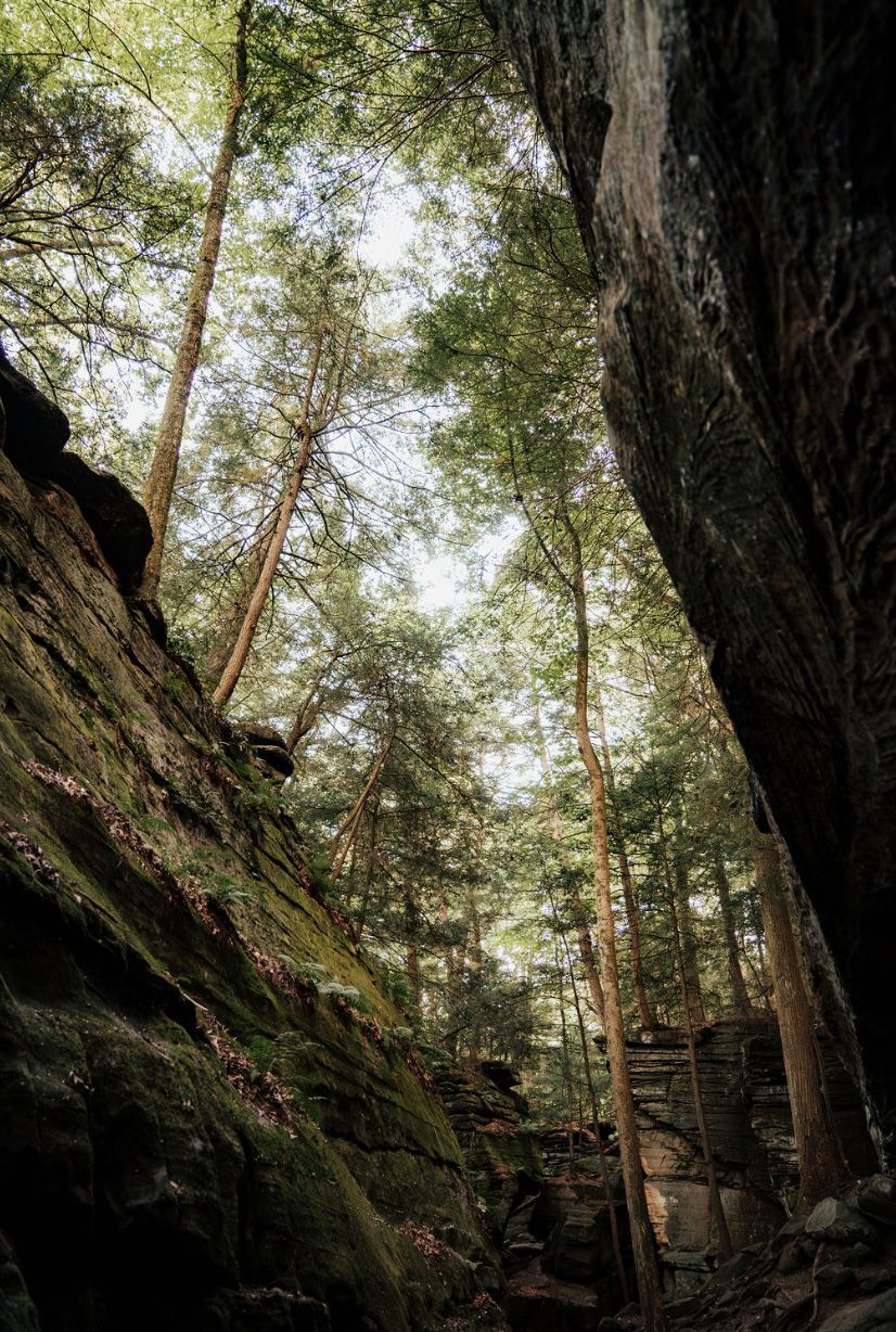 Looking up into a canyon filled with trees and rocks.